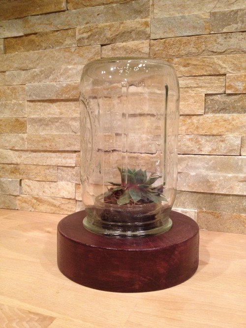 Mini terrarium - the ultimate self-sustaining micro environment for those who love plants in the house but have issues trying to remember to do things like water them... 