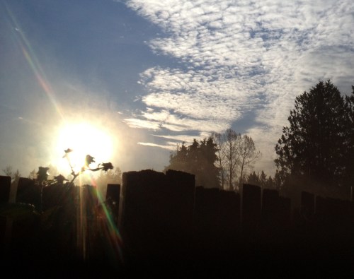 Weekly Photo Challenge - Let There Be Light