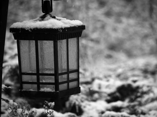 Lantern in Snow