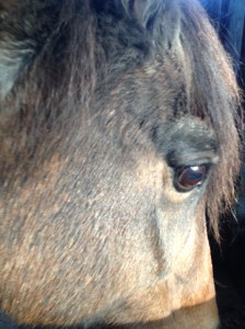 It's never easy to say goodbye to an old friend...