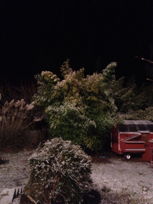 The farm at night...