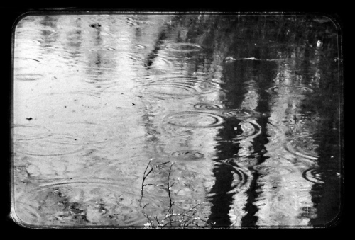 Rain on Pond