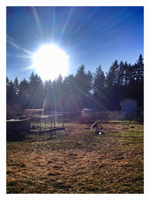 What the Heck is THAT?