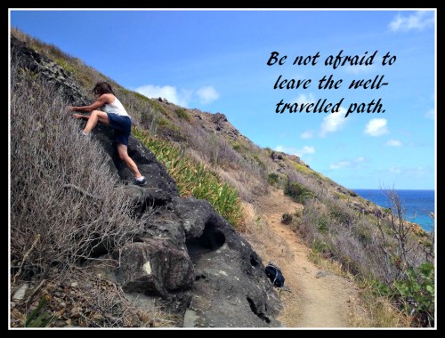 Losing track of the days (this is what happens when one falls too far behind in the homework department!!) I seem to recall one of the next challenges was looking at natural lines and how they lead the eye in (or out) of the frame... 