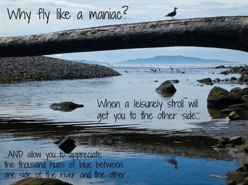 A seagull walks over a bridge...