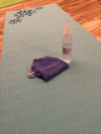 IMG_7158 yoga mat cleaner.JPG