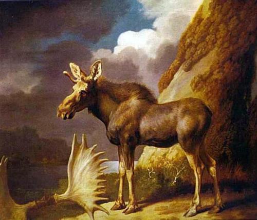 George Stubbs 1773 the-moose.jpg!Large