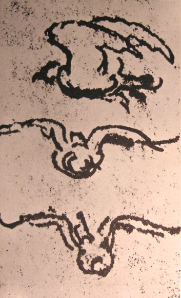 KONICA MINOLTA DIGITAL CAMERA