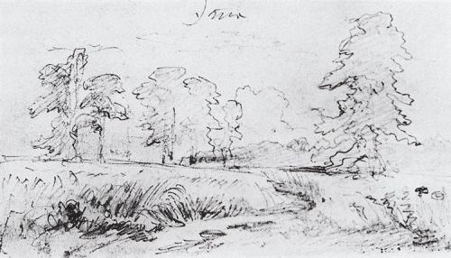Ivan Shishkin 1878 the-sketch-for-the-painting-rye-1878